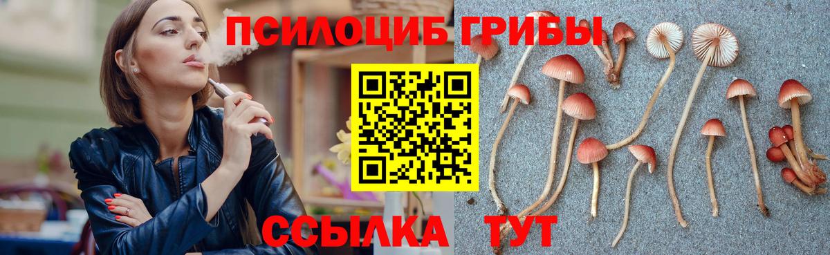 Советская Гавань  Псилоцибиновые грибы GOLDEN TEACHER  Вход с VPN 