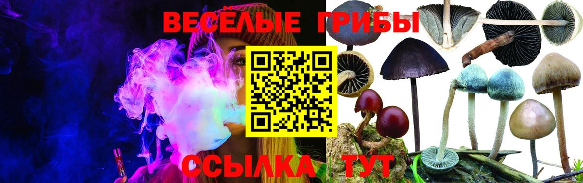 Галлюциногенные грибы Magic Shrooms Советская Гавань